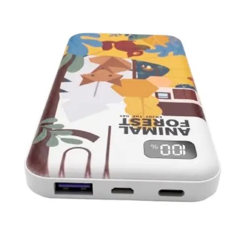 10000mAh Fast Charging Power Bank with Digital Display | Portable Power Bank - Armaa Store Pk