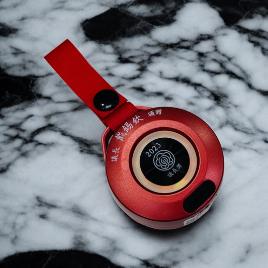 Outdoor Wireless Bluetooth Compatible Stereo Portable Speaker