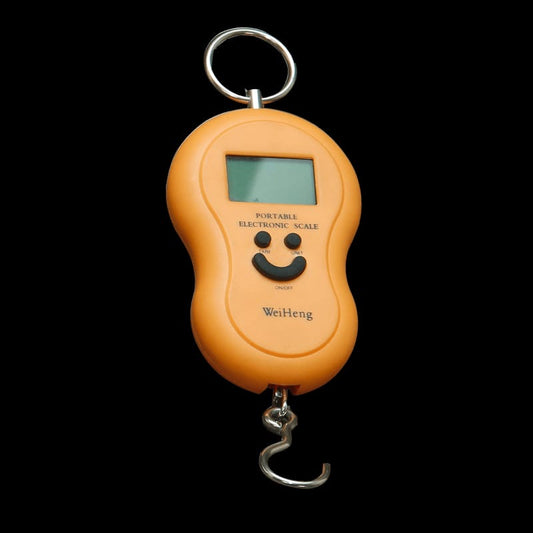 Digital Hanging Portable Electronic Weight Scale - 2 Pieces Set