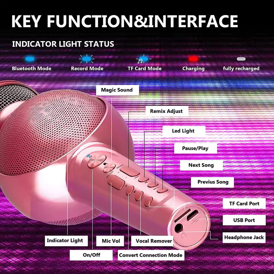 Pink microphone with labeled functions on a colorful background