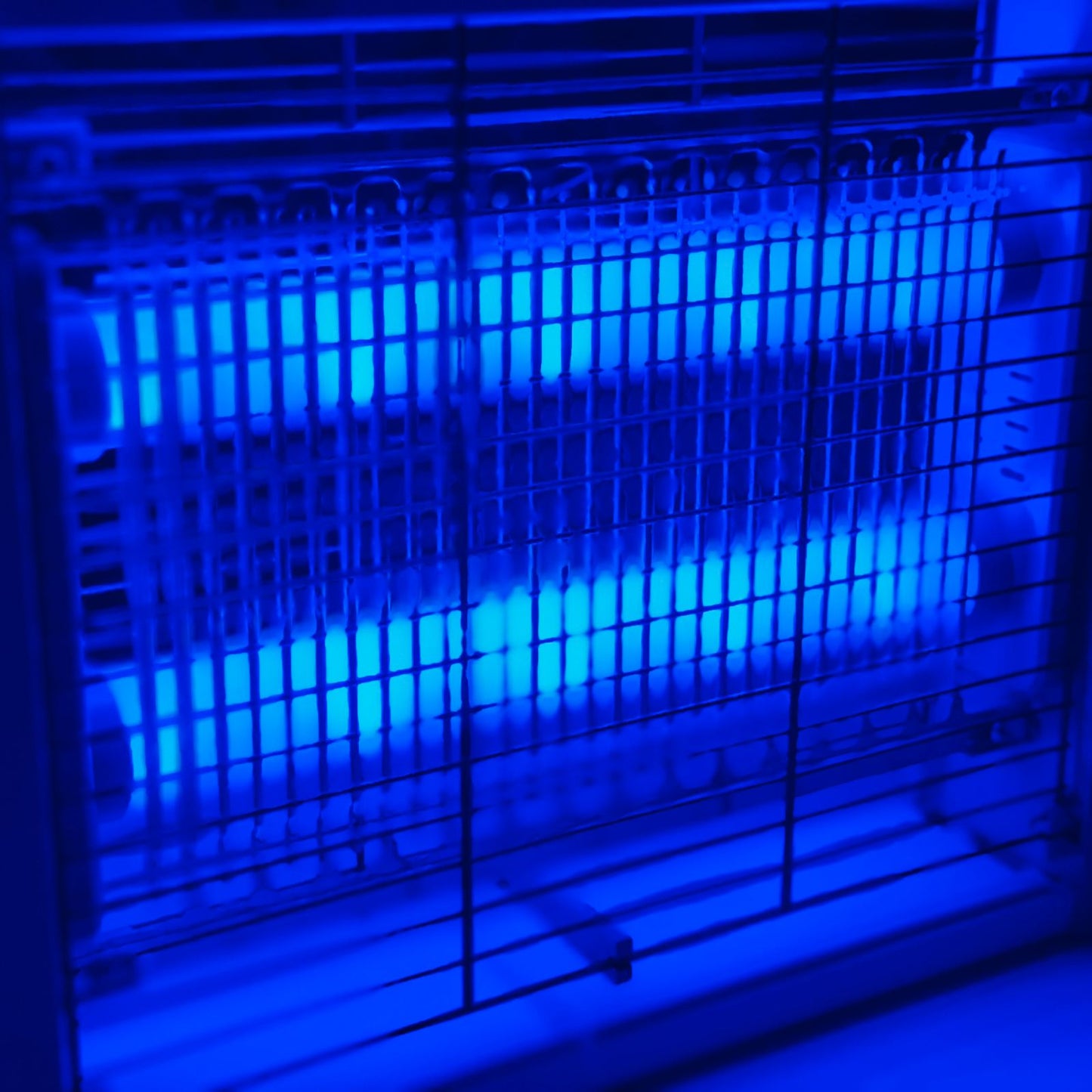 Sky Bird Insect Killer 6W