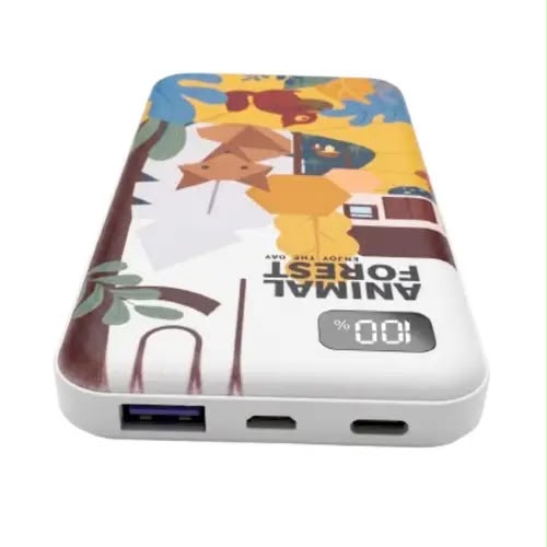 10000mAh Fast Charging Power Bank with Digital Display | Portable Power Bank