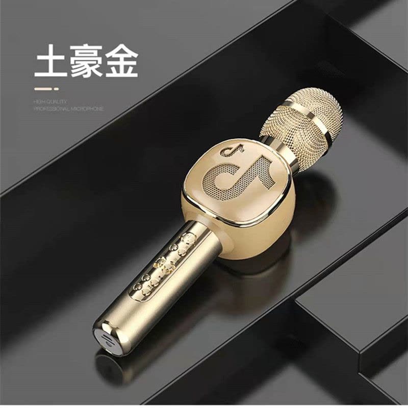 Rebel Y8 Wireless Bluetooth Karaoke Microphone - Best For Birthday Gift, Home Party, Indoor & Outdoor Entertainment