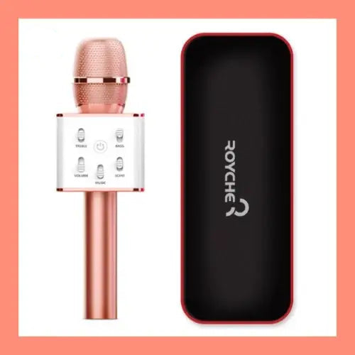 Royche Portable Karaoke Wireless Microphone - Bluetooth 5.0 Speaker