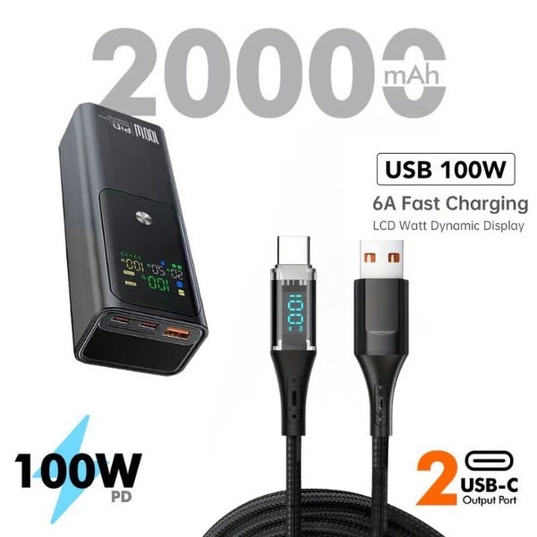 Wiwo Bird Power Bank 20000mAh + FastX 100W Display Cable (C to C or USB to C)