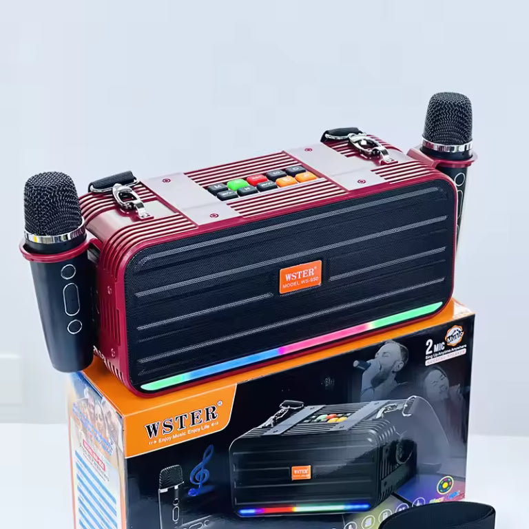 WSTER portable audio device with two microphones on a white background