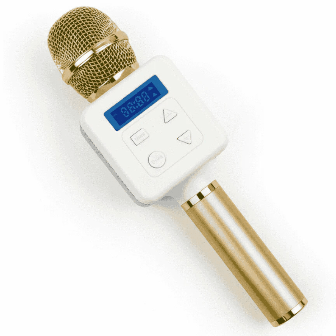 Bluetooth Wireless Karaoke Microphone - Wireless Mic with Built-in Speaker - Armaa Store Pk