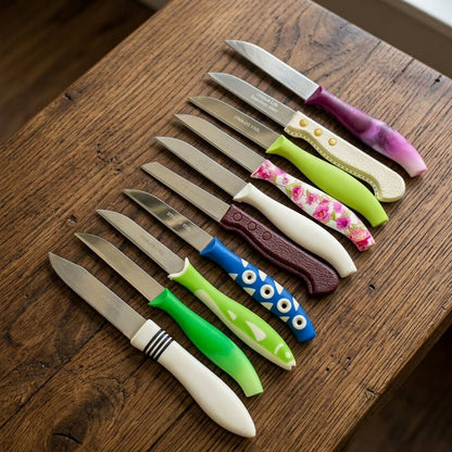 Colorful Stainless Steel Cutting Edge Kitchen Knife Set – Multi-Purpose Cutting Knives | 10pcs Set - Armaa Store Pk