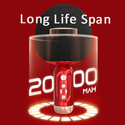 XZL Magic Voice Wireless Bluetooth Karaoke Microphone with Speaker, Karaoke Microphones for Kids and Adults, Home Party Birthday