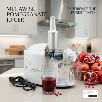 MegaWise Pomegranate Juicer – Powerful Manual Juice Extractor for Fresh & Healthy Drinks - Armaa Store Pk