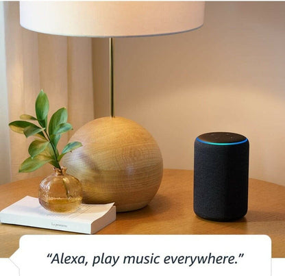 play music with alexa 3rd gen plus armaa store