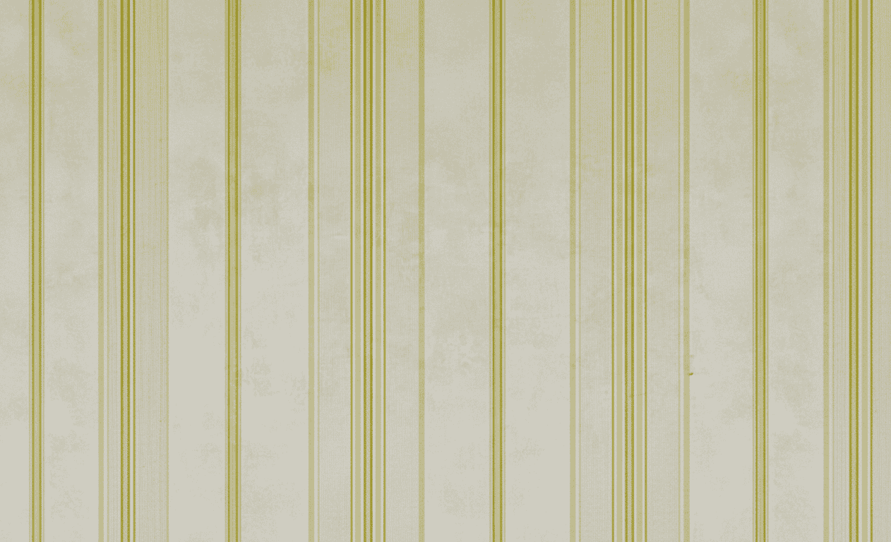 Regency Printed Designs Wallpaper for Wall - Premium Patterned Wall Covering - Armaa Store Pk
